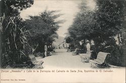 Public park lined with trees and benches Postcard