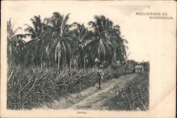 Recuerdos de Nicaragua, Corinto Postcard