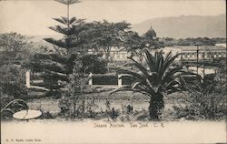 Insane Asylum Postcard