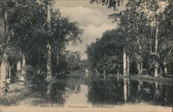 Stock #733275 Thumbnail