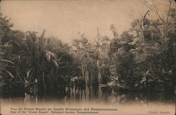 View of the Grand Bassin, Botanical Garden, Pamplemousses Postcard