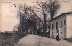 Estrada de Ilhavo, Aveiro Postcard