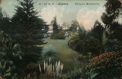VIew of a Portuguese palace through trees, plants and a green lawn Postcard