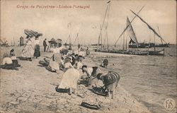 Grupo de Peiretras - Lisboa Portugal Postcard