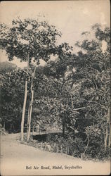 Bel Air Road Postcard