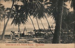 Coco-nut Oil Mill Postcard