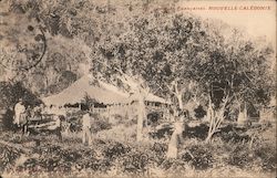 Colonies Francaise, Nouvelle Caledonie Postcard