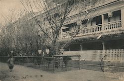 Nectarine No.9 Brothel Postcard