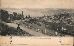 Panoramique du Bosphore Constaninople, Turkey Greece, Turkey, Balkan States Postcard Postcard Postcard