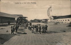 Scene in a rice mill, Penang Postcard