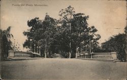 Puente del Prado Montevideo, Uruguay Postcard Postcard Postcard