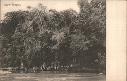 Upper Chagres River Postcard