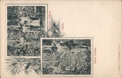 Native Indians Colon Postcard