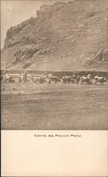 Herding Cattle at 14,000 Feet Postcard