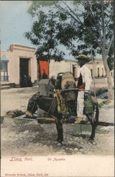 The Water Carrier Lima, Peru E. Courret & Cie Postcard Postcard Postcard