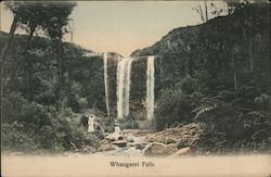 Whangarei Falls Postcard