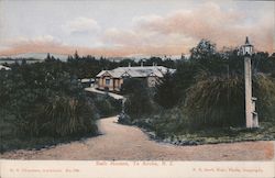 View of Bath Houses Postcard