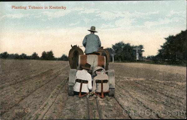 Planting Tobacco in Kentucky