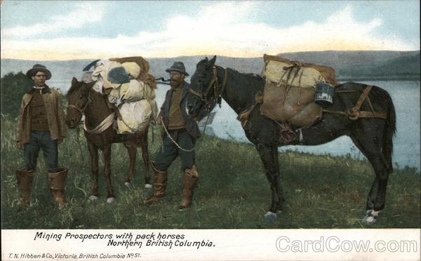 Mining Prospectors with Pack Horses BC Canada British Columbia