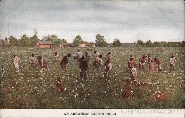 An Arkansas Cotton Field Black Americana