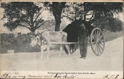 Not Exceeding the Speed limit in East Dennis, Mass. Postcard