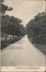 The Fine Road for Auto's Postcard