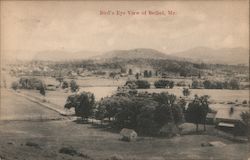 Bird's Eye View of Bethel, Me. Postcard