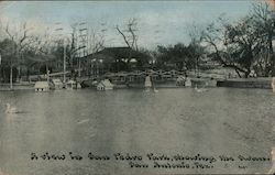 A View in San Pedro Park Postcard
