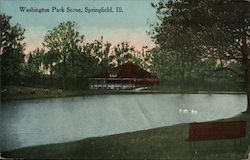 Washington Park Scene Postcard