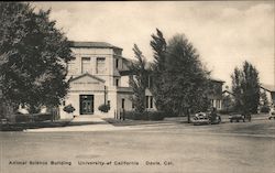 Animal Science Building, University of California Postcard