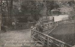 Trout Pond and Rustic Bridge, Riverton Park Postcard