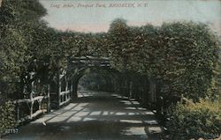 Long Arbor, Prospect Park Brooklyn, NY Postcard Postcard Postcard