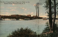 The West Virginia Pulp & Paper Co's Plant Postcard