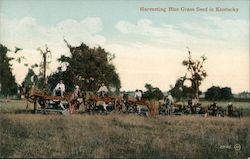 Harvesting Blue Grass Seed in Kentucky Postcard Postcard Postcard