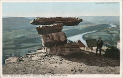 Umbrella Rock, Point Lookout Postcard