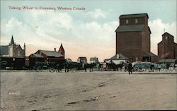 Taking Wheat to Elevators, Western Canada Postcard