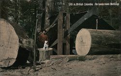 Life in British Columbia, The Lumbermans Workshop Canada Postcard Postcard Postcard