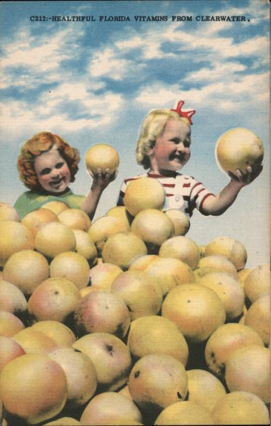 Healthful Florida Vitamins Clearwater