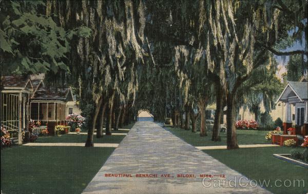 Beautiful Benachi Avenue Biloxi Mississippi