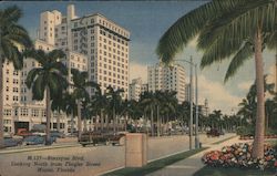 Biscayne Boulevard, Looking North from Flagler Street Miami, FL Postcard Postcard Postcard