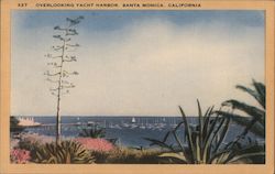 Overlooking Yacht Harbor Santa Monica, CA Postcard Postcard Postcard