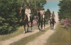 A Morning Ride Pocono Manor Inn Pennsylvania Postcard Postcard Postcard