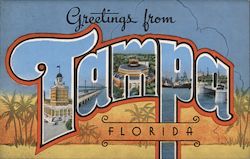 Greetings from Tampa Florida Postcard Postcard Postcard