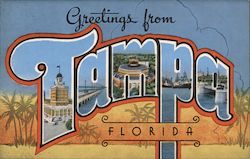 Greetings from Tampa Florida Postcard