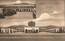 Salinas Motor Lodge California Postcard Postcard Postcard