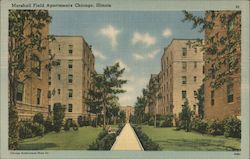 Marshall Field Apartments Postcard