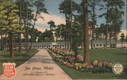 The Pines Motel Kiptopeke Beach, VA Postcard Postcard Postcard