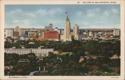 Skyline Postcard