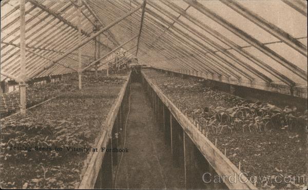 Testing Seeds for Vitality at Fordhook - Burpee Doylestown Pennsylvania