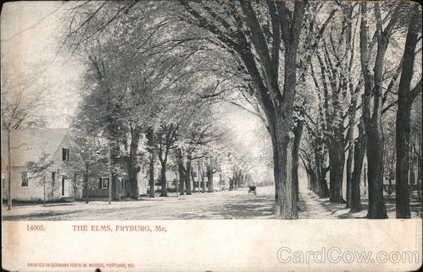 The ELms Fryeburg Maine